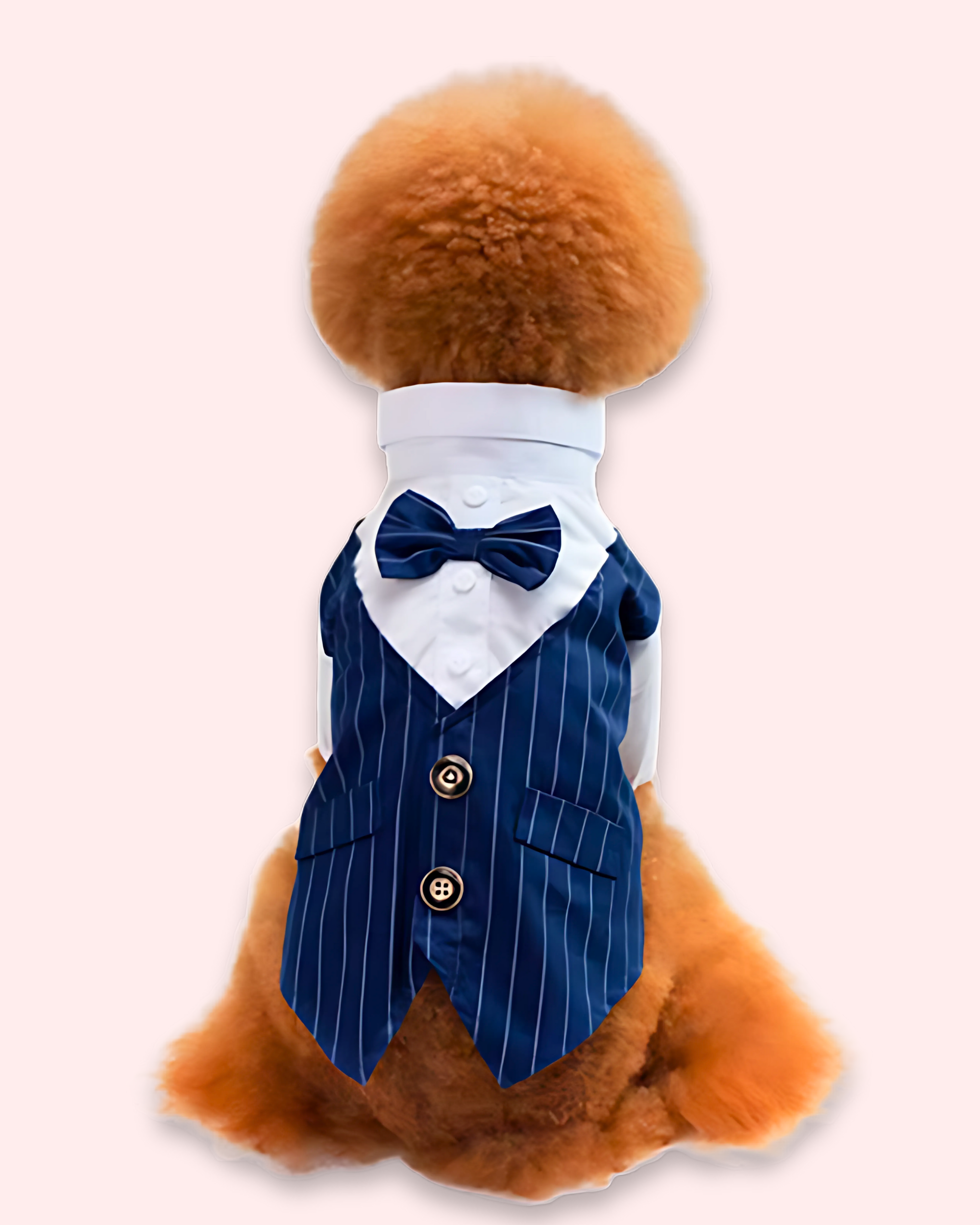 Tuxedo Bow Tie Shirt for Pets