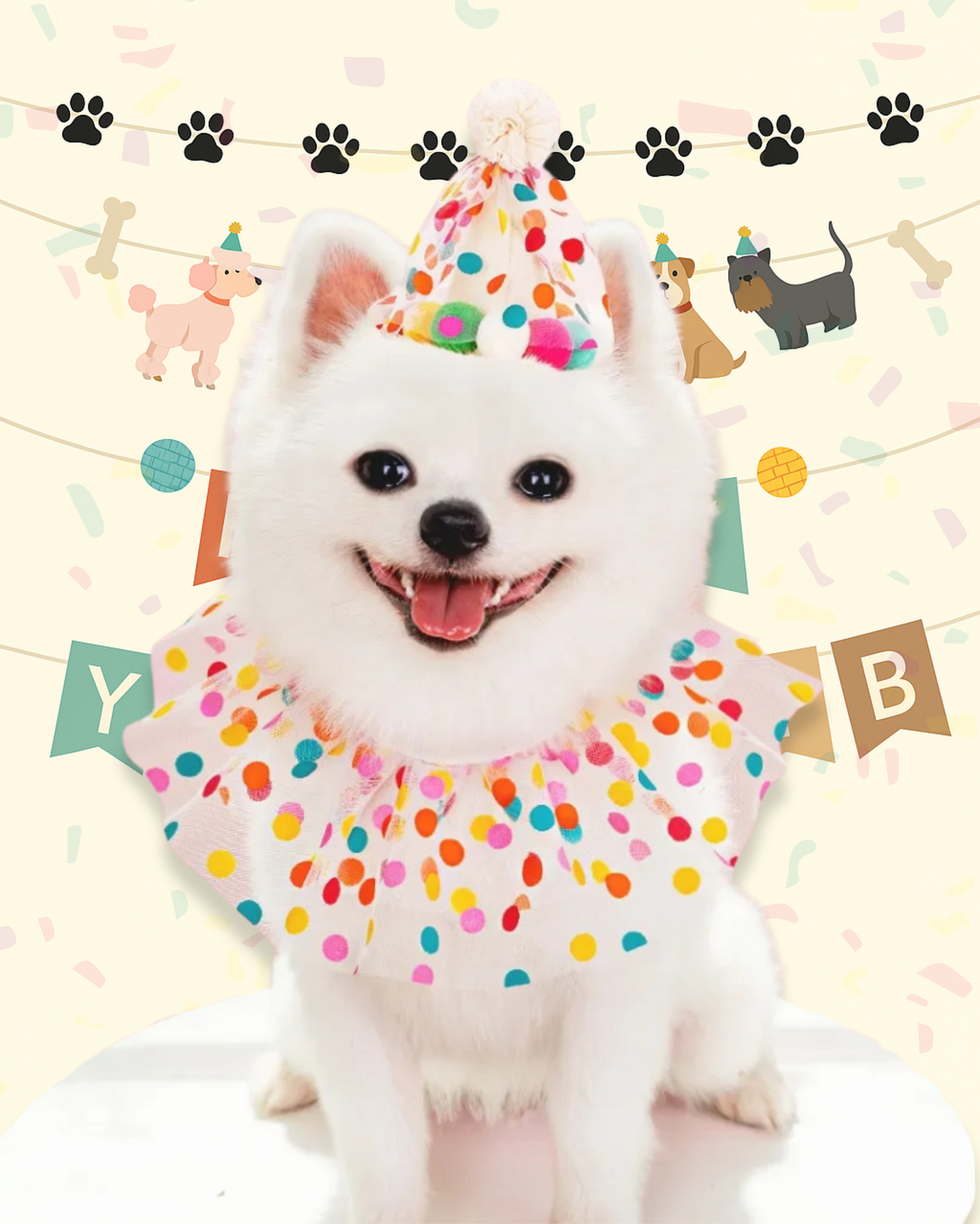 Polka Dot Party Bib &amp; Hat