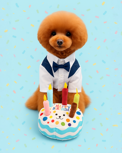 Pet Birthday Cake Plush Toy