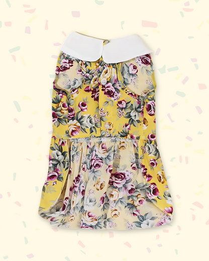 Pet Floral Dress with White Collar